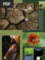 FD58_Amigos de Caster