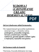 Budowa I Funkcjonowanie Układu Hormonalnego