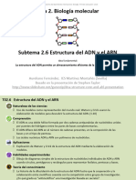 2 - 6 - Estructura Del ADN y El ARN