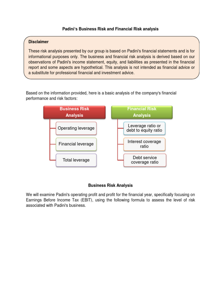 Padini Business Risk and Financial Risk Analysis | PDF | Debt | Interest