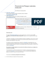 Formación en Prevención de Riesgos Laborales_encofrados 1