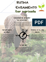 Sector Agrícola en Guatemala