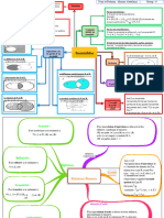 Carte Mentale