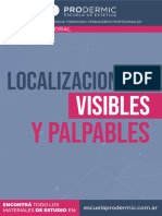 7 Localizaciones Visibles y Palpables