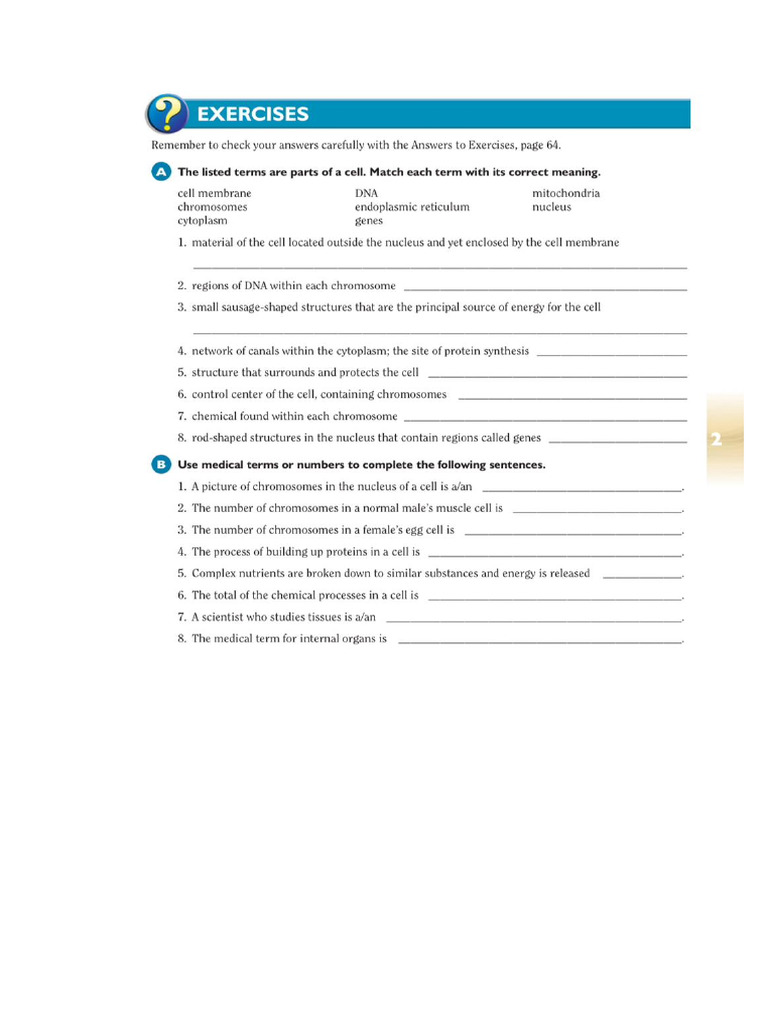 Exercises - Unit 2 | PDF