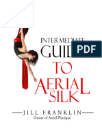 INTERMEDIATE GUIDE TO AERIAL SILK