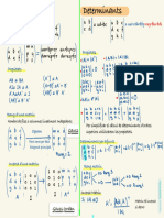 Esquema Matrius I Determinants