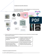 Actividad Sobre Deasrrollo Embrionario