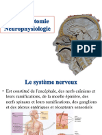 Anatomie Physiologie Système Nerveux Résumé Court