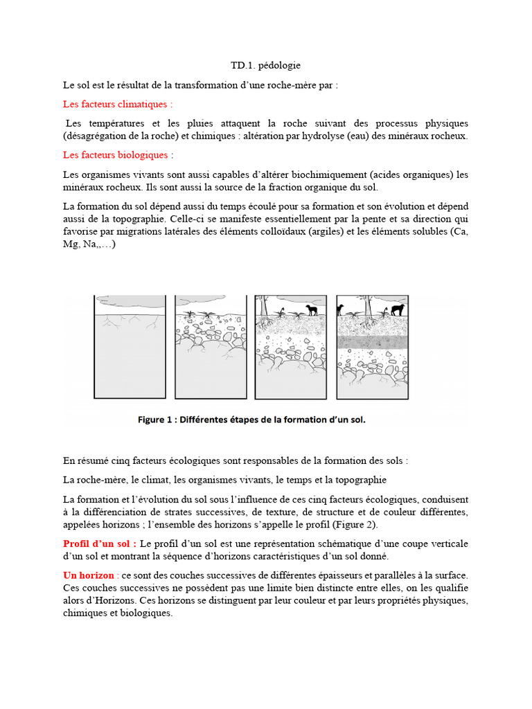 Facteurs de formation des sols et horizons | PDF | Sol (pédologie ...