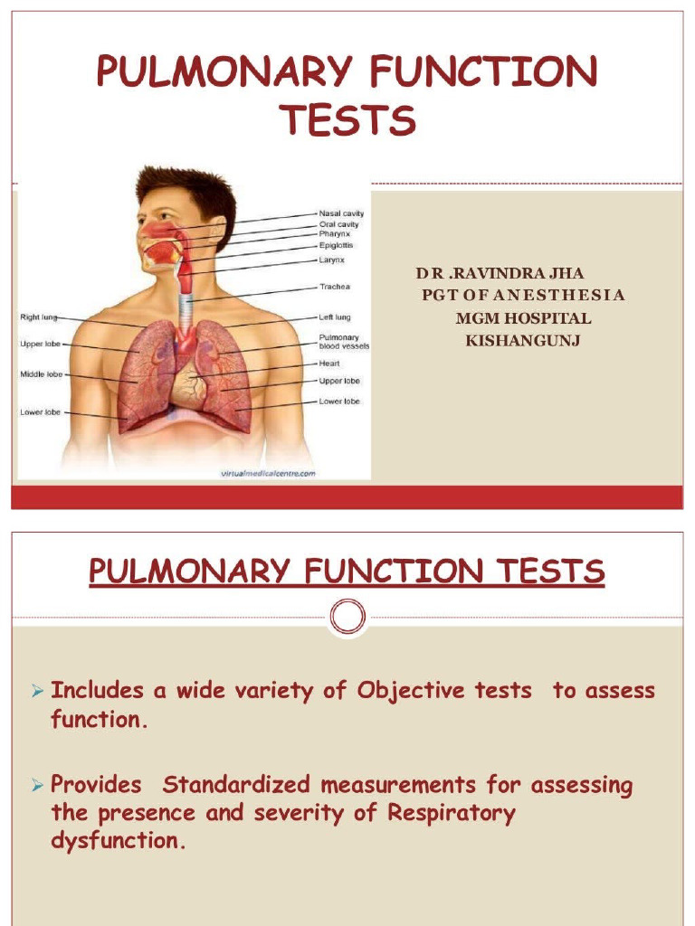 Pulmonary Function Test 143928131 | PDF