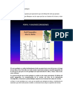 Geologia Estrutural IM.. MAPA TOPOGRAFICO