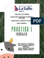 Práctica 1 - Forrajes