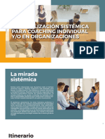 1b. Programa de Coaching Sistémico