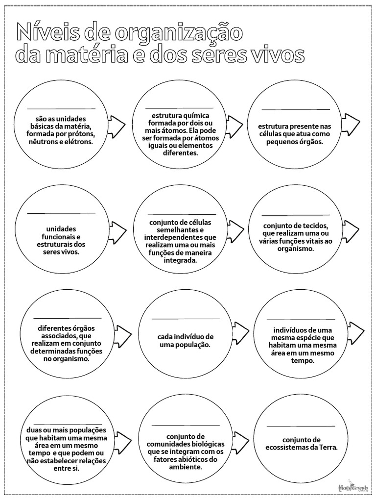 Níveis de Organização dos Seres Vivos | PDF