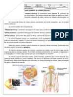 Sistema Nervoso