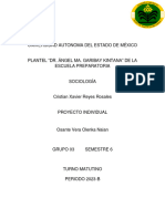 Proyecto Individual Sociología