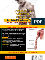 1-Anatomia Del Miembro Superior Osteologia