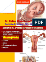 11. Aparato Reproductor Femenino