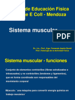 Unidad 1 Sistema Muscular