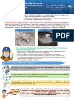 2023 - Charla Semanal N°08 Atropello de Fauna en Vías Internas