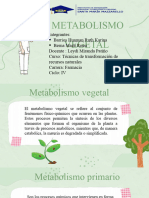 Metabolismo Vegetal - Grupo 3