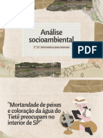 Análise Socioambiental - Mortandade de Peixes No Rio Tietê