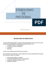 Metabolismo de Proteinas