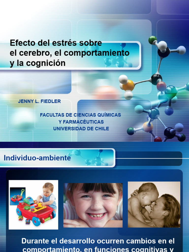 Estrés: Impacto en Cerebro y Cognición | PDF | Glándula suprarrenal ...
