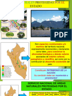 Diapositiva 6 Areas Naturales