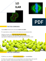 04-Ciclo Celular 22-23