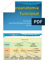 CLASE 2 - Neurof Neuroanat Fnal