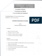 Direito Trabalho - Programa Da Cadeira