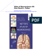 Netters Atlas of Neuroscience 4Th Edition David L Felten Full Chapter