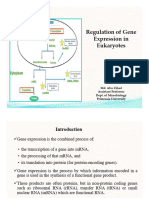Regulation of Gene Expression in Eukaryotes (Light)