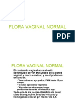 17 Flora Vaginal Normal
