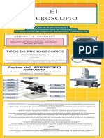 TimelineProcessList Infographic 20240420 204342 0000