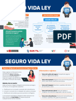 Infografia_seguro de vida Ley (1000)