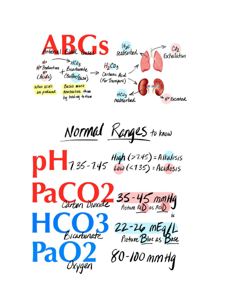 ABG Values | PDF