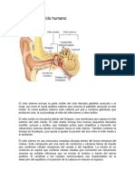 Anatomía Del Oído y El Ojo