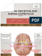 PDF Aula de Sistema Nervoso Periférico Nervos em Geral