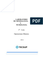 Guía de Laboratorio Mineralogia y Petrologia_LAB-S03-2024-1.Docx (1)