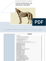 Apostila Osteologia Membro Pélvico Equino 2 Pdf Pélvis Anatomia