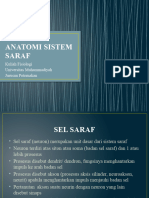 Anatomi Sistem Saraf