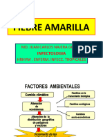 t04. Fiebre Amarilla