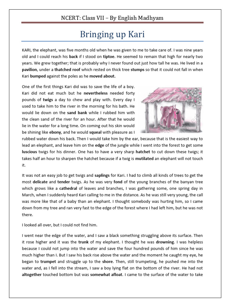 Class 7 English Chapter 2 Bringing Up Kari Question Answer