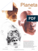 ESP SciAm - 2003 - 289-2 - 74-83 Planet of The Apes (Hominoids) Begun