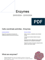 L8_Enzymes