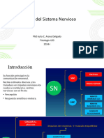 Clase 04   FISIOLOGIA DEL SNC A